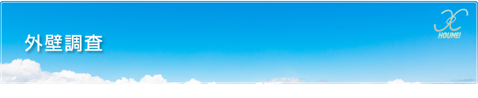 外壁調査