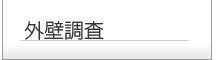 外壁調査