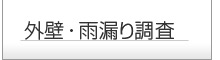 外壁調査